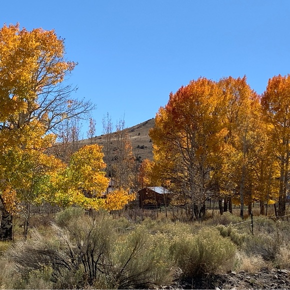 Meet your Posher, Rachel - Picture 1 of 1